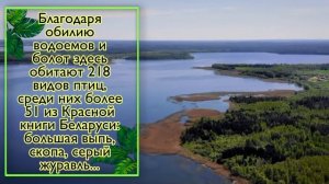 Виртуальная экскурсия "Национальный парк "НАРОЧАНСКИЙ" СШ №31
