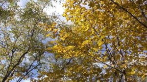 Горный Дагестан: Тропой Императора  ©2021