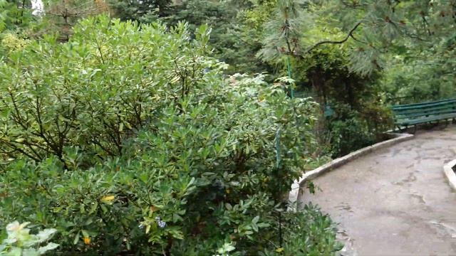 Крым. Курортное. Биостанция Вяземского у подножья горы Кара-Даг смотреть онлайн