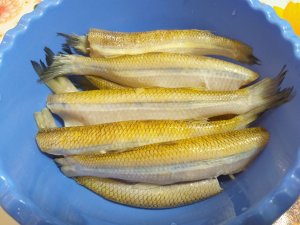 Не правильная корюшка, жарим на сковороде ?