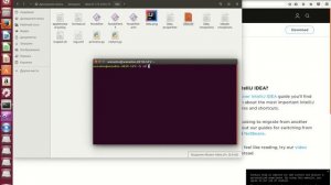 Как установить среду разработки INTELIJ IDEA в среде LINUX