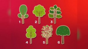 Психологический тест по картинке с прогнозом на будущее: что принесет вам больше всего счастья.