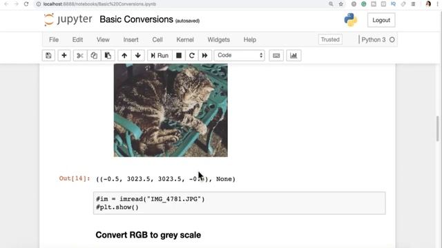 PyTorch for Deep Learning with Python Bootcamp | 40 | Basic Image Conversions