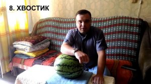 Как выбрать ПРАВИЛЬНЫЙ АРБУЗ: спелый и сладкий