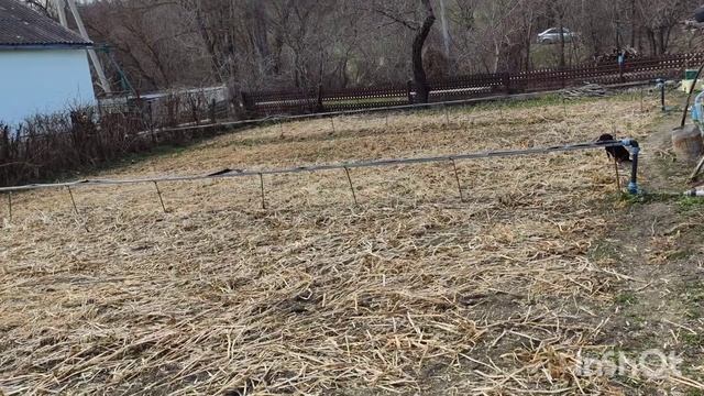 Как собрать полив спрей лета своими руками