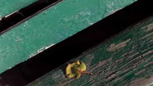 GE E1410SW Video Test смотреть онлайн