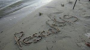 Бешенная рыбалка в Кулешовке.