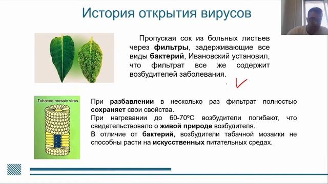 Вирусы. Профилактика вирусных заболеваний. Часть 1