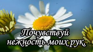 Спокойной ночи, Любимый