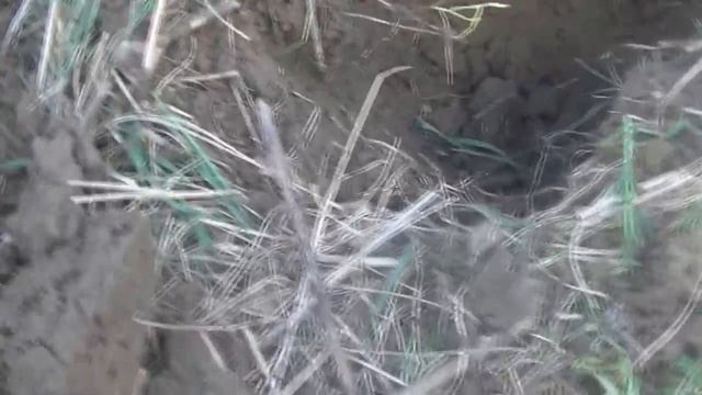 Поиск металлоискателем. Что можно найти у дома в деревне.Поиск Золота. смотреть онлайн