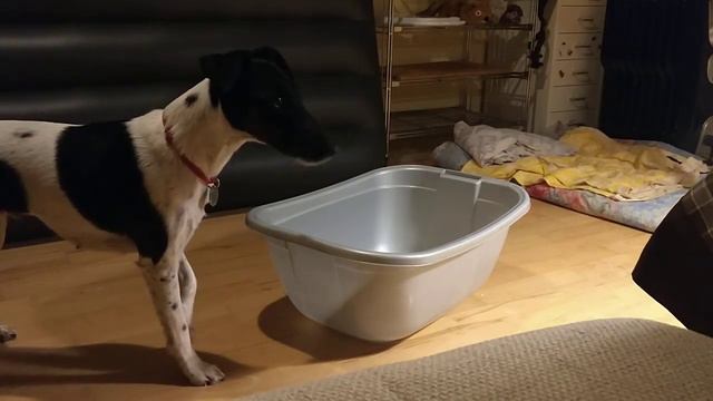 Д/Р 10. Фришейпинг смотреть онлайн