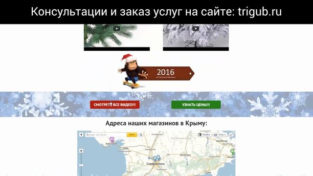 Создание сайтов для бизнеса. Портфолио Александра Тригуб #4. Разработка сайтов на Wordpress. смотреть онлайн