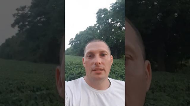 влияние на сою последействия навоза и азотных удобрений внесённых на предшественике смотреть онлайн