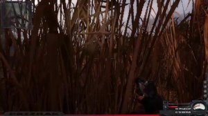 S.T.A.L.K.E.R.: Shadow of Chernobyl