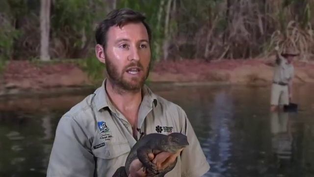 Wild Territory Episode 1 - Jack the Merten's Water Monitor & School Holidays смотреть онлайн