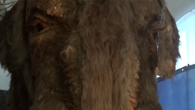 U News. Кто жил на земле миллион лет назад смотреть онлайн