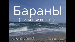 Бараны ( Сергей Михалков,  Арчибальд Сид. стихи ) Бараны в нашей жизни.