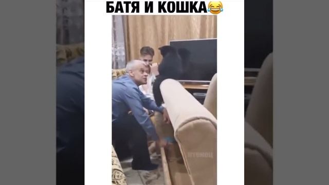 кошка помошница.mp4