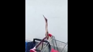 подборка приколов 21