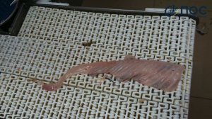 Филетировочная машина для прудовых рыб семейства карповых карп, амур, толстолобик. Окунь, форель