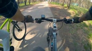 Хроники выжившего (9-й день карантина)