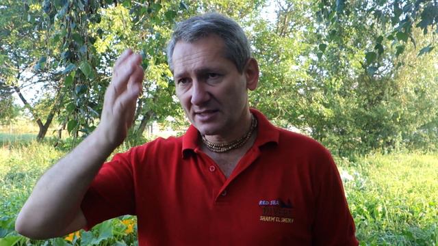 Почему Падают Просмотры? Мои Наблюдения смотреть онлайн