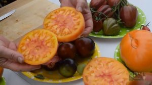 Самые красивые томаты от коллекционера  на разрезе. Часть 3.