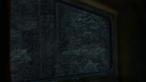 Шум дождя. Звуки дождя для сна и расслабления.