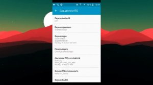 Включение режима разработчика на Android 5.1