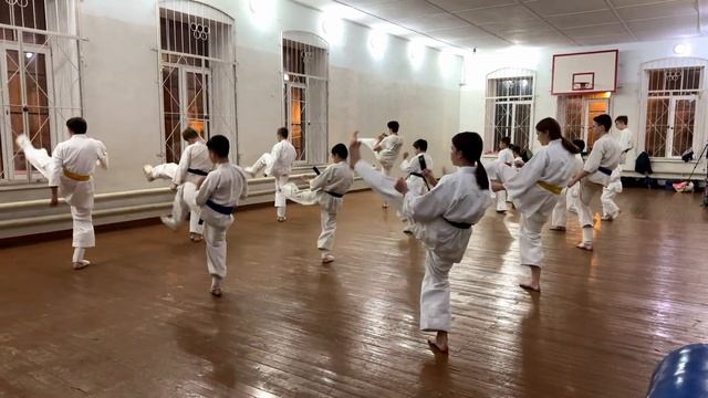 Тренировка бойцов карате в Астрахани. в 4К смотреть онлайн