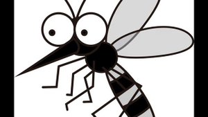 Moishe - Комарики (orig.  Жуки и Профессор Лебединский)