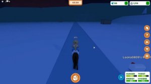Играю в roblox. Horse Valley 2