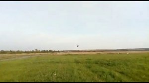 Автожир Танго