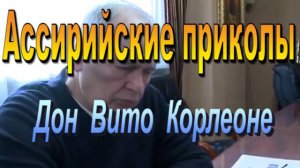 Дон Вито Корлеоне «Крёстный отец»  /Пародия/