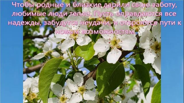 С праздником 8 марта смотреть онлайн