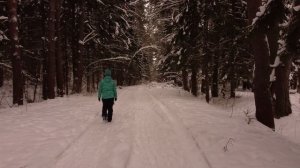 Прогулка по зимнему лесу 2022 года..mp4