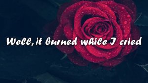 Adele - Set Fire To The Rain (Lyrics)