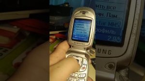 Samsung SGH X450 Обзор телефона.