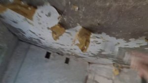 Снимаем обои с потолка. Скребок, вода, и валик.