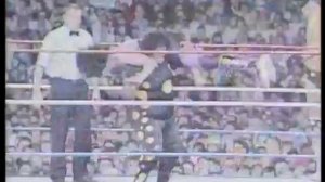 Дасти Роудс и Сапфир vs Шерри Мартел и Рэнди Сэвидж, WrestleMania VI