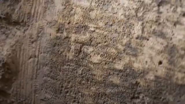 07 Восточная коллекция Часть 2 Самый, самый, самый Баальбек смотреть онлайн