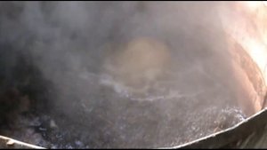 Выращивание вешенки (Часть 1)
