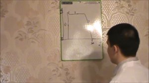 Возбуждение Типичных Кардиомиоцитов.  Нормальная Физиология