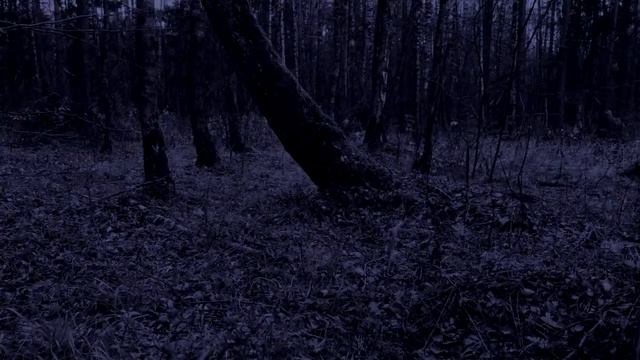 Звук Дождя и Раскаты Грома 6 Часов Для Глубокого Сна и Релаксации, релакс-музыка смотреть онлайн