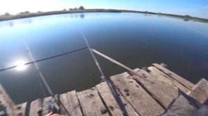 КАРП НА КРУЖКИ В ИЮЛЕ .