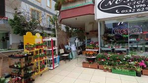 влог 336