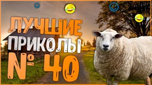 Лучшие Приколы 2022 Смешные видео - Я РЖАЛ ДО СЛЕЗ / Лучшие Приколы #40