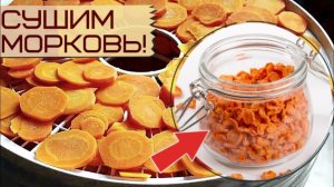 Всегда сушите морковь на зиму! Вкус божественный! Как и где сушить морковь на зиму?