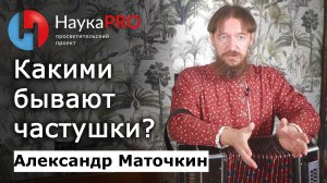 Какими бывают частушки – Александр Маточкин | Фольклористика | Русские народные частушки | Научпоп