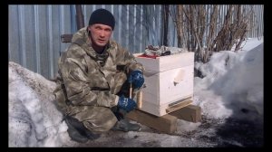 Первый облёт пчёл в Сибири 2019